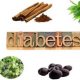 Ayurveda and Diabetes