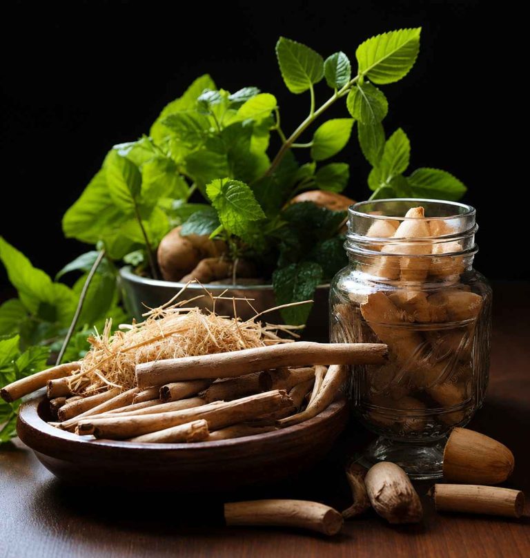 Natural Fistula Treatment in Kerala featuring Ayurvedic medicinal herbs, traditional herbal roots, and natural healing ingredients used in holistic wellness practices.