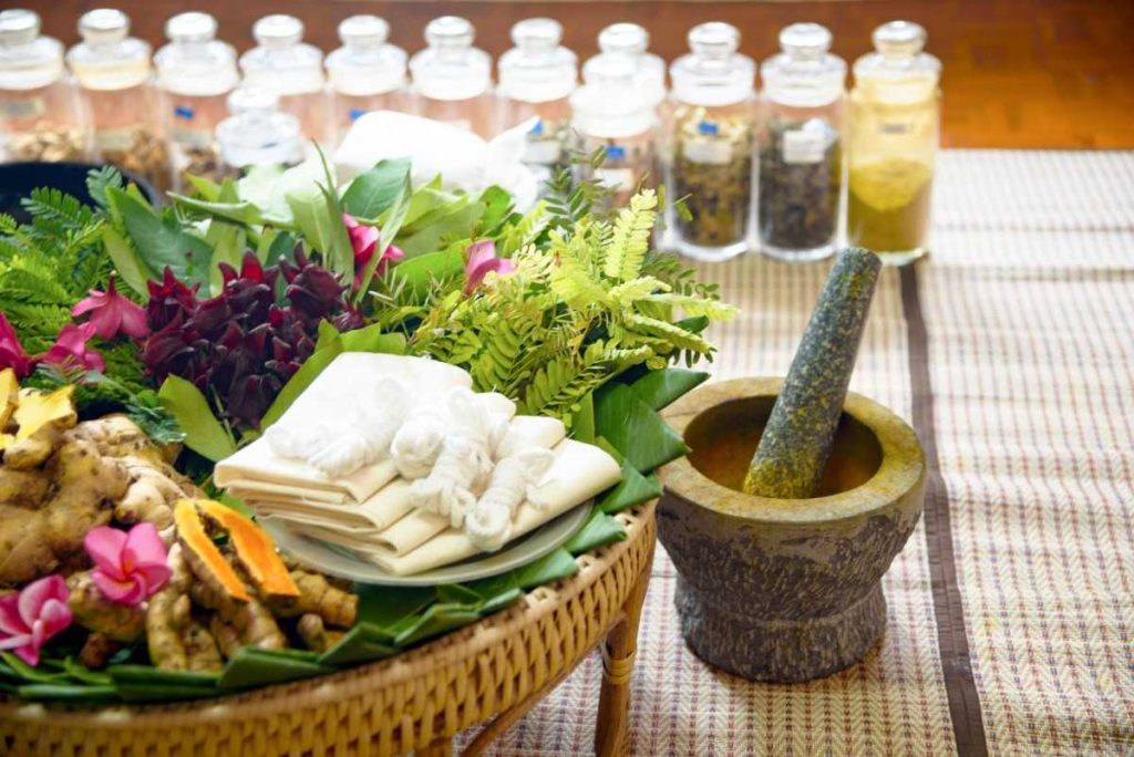 Ayurvedic herbs and traditional healing ingredients used in Ayurvedic Treatment for Anal Fistula in Kerala and Ksharasutra treatment preparation.