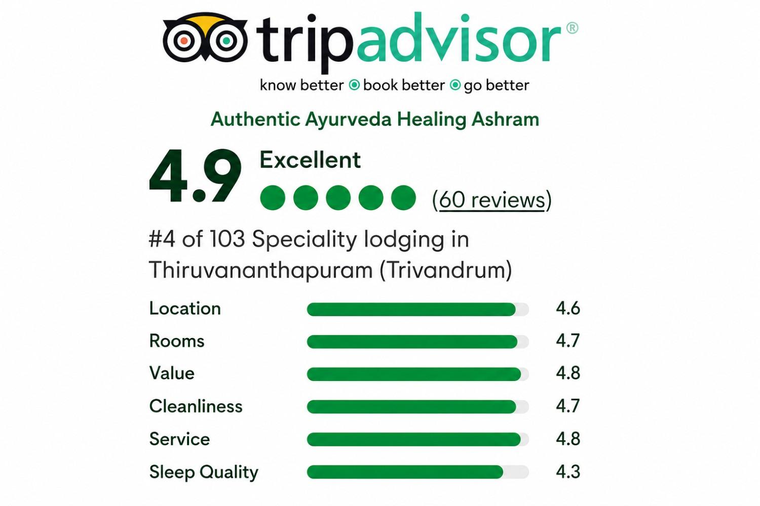 TripAdvisor Review